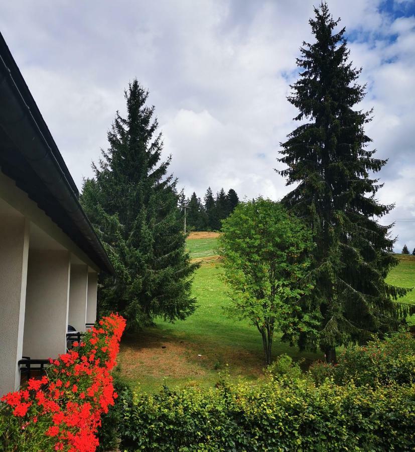 Schwarzwaldgasthof Hotel Hirschen Ibach Exterior foto